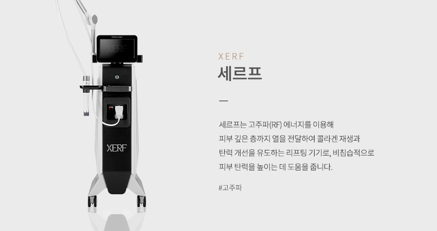 세르프