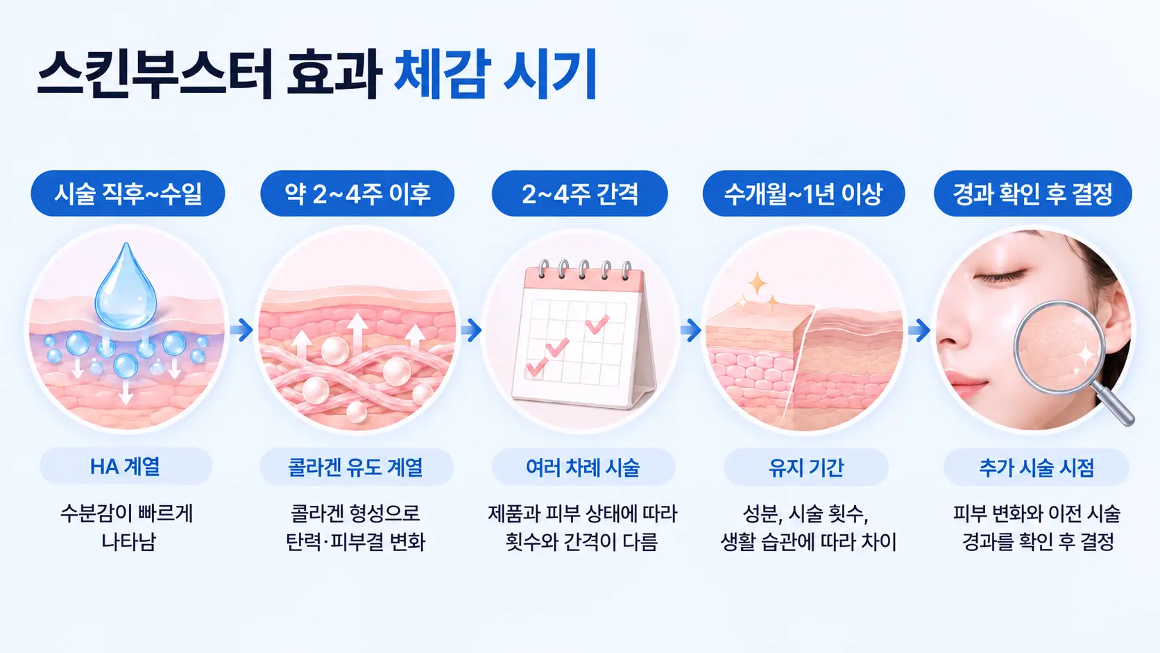 시술 직후 수분감부터 수 주 뒤 콜라겐 섬유 형성까지 진피 변화를 시점별로 정리한 타임라인