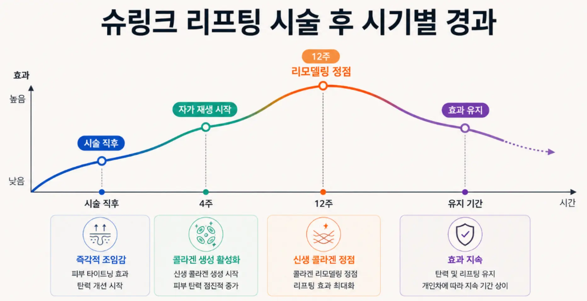 부산 슈링크 리프팅 시술 직후부터 신생 콜라겐 리모델링이 정점에 도달하는 시기별 효과 경과 그래프