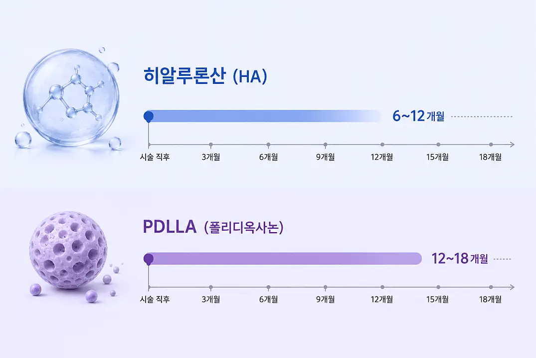 쥬베룩 유지기간을 결정하는 히알루론산과 PDLLA 성분의 지속 기간 비교