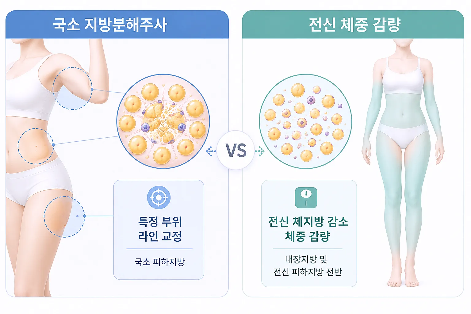 국소 지방과 전체 체중의 관계 개념도