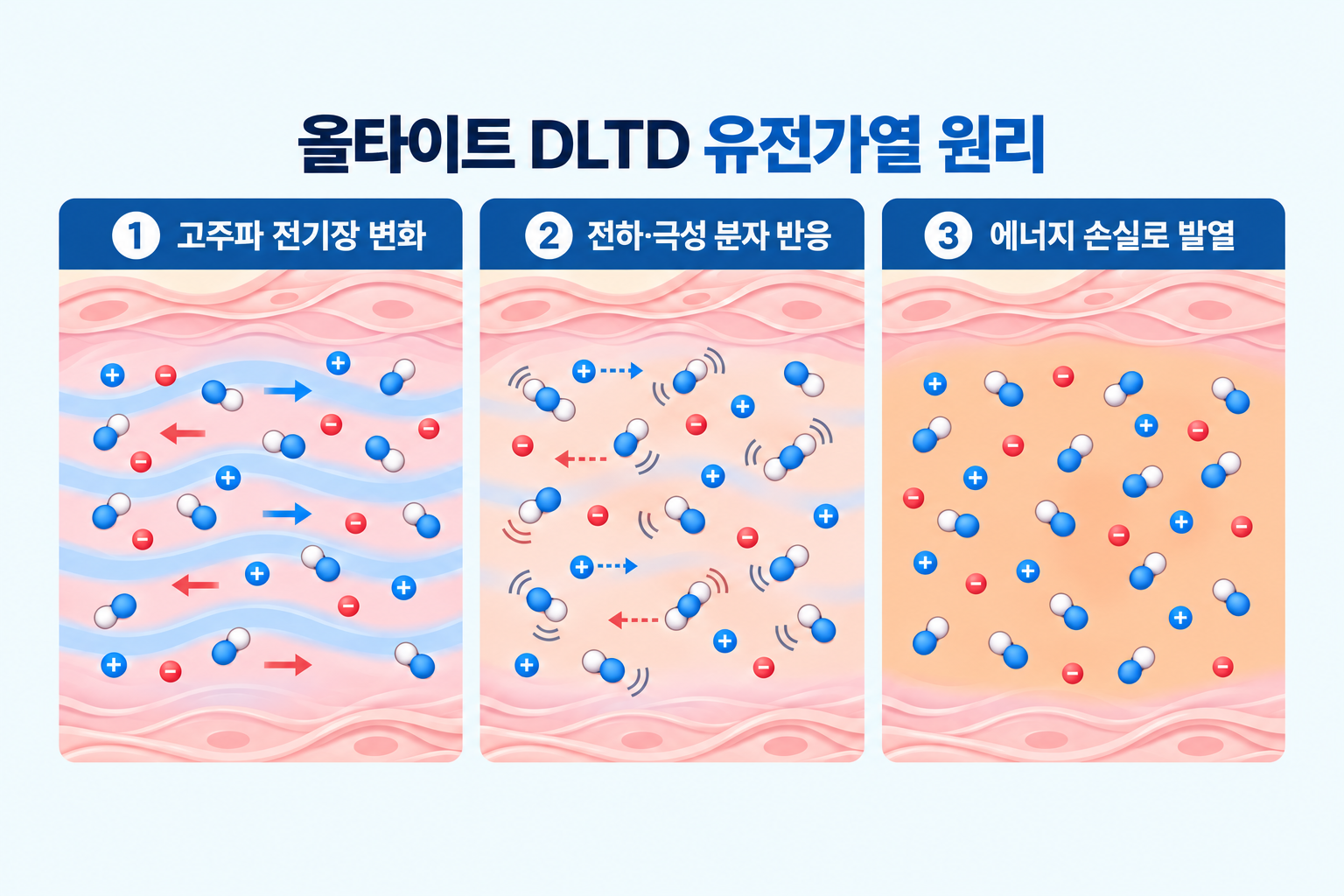 올타이트 DLTD 기술의 고주파 전기장 변화와 분자 반응, 열에너지 발생 과정을 3단계로 설명한 이미지