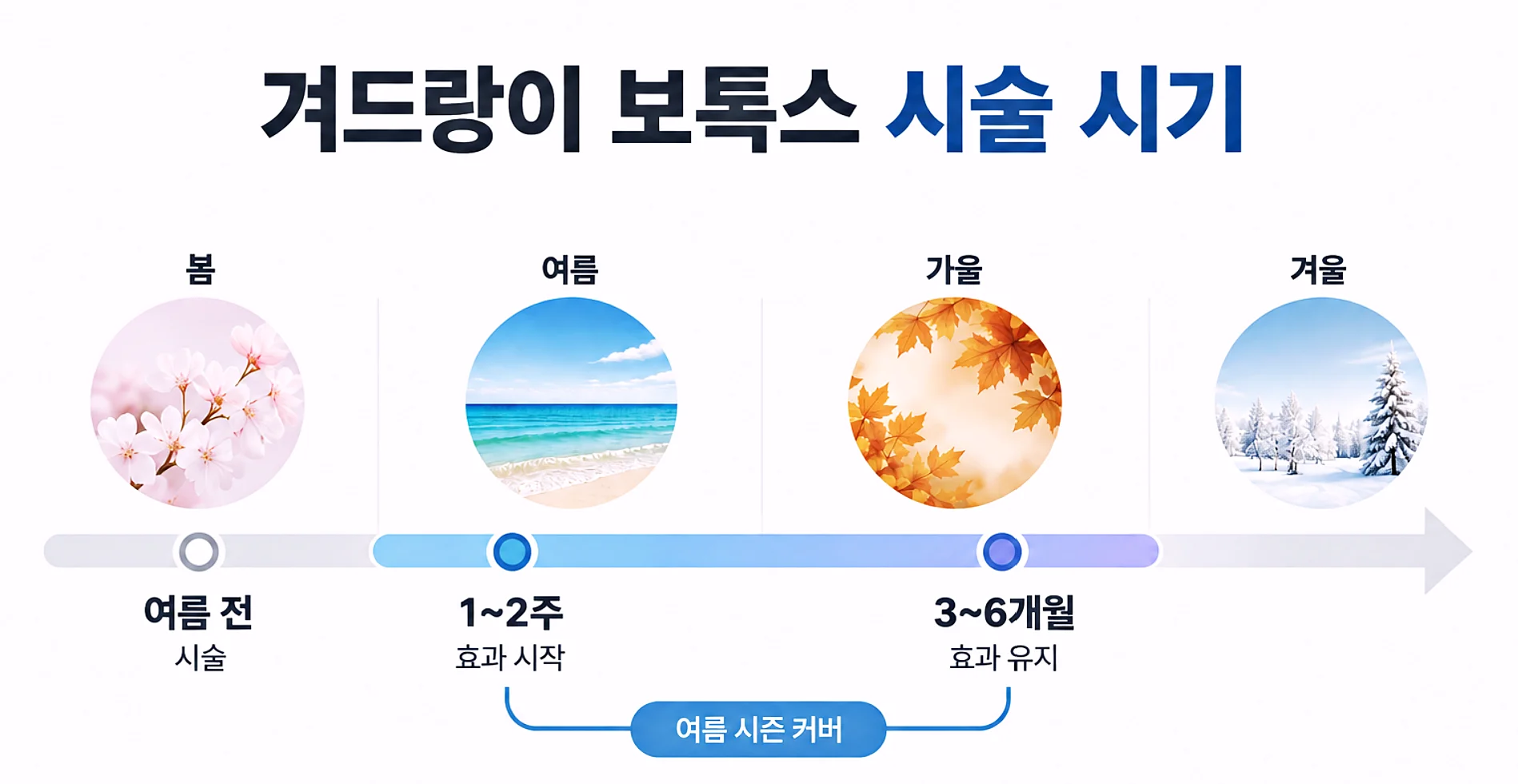 겨드랑이 보톡스 시술 시기 - 여름 대비 일정 개념도