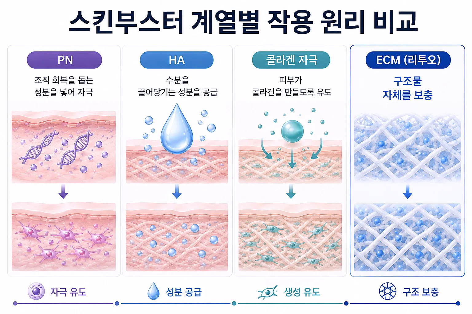스킨부스터 계열별 작동 방향 - 자극 유도 공급 보충 비교