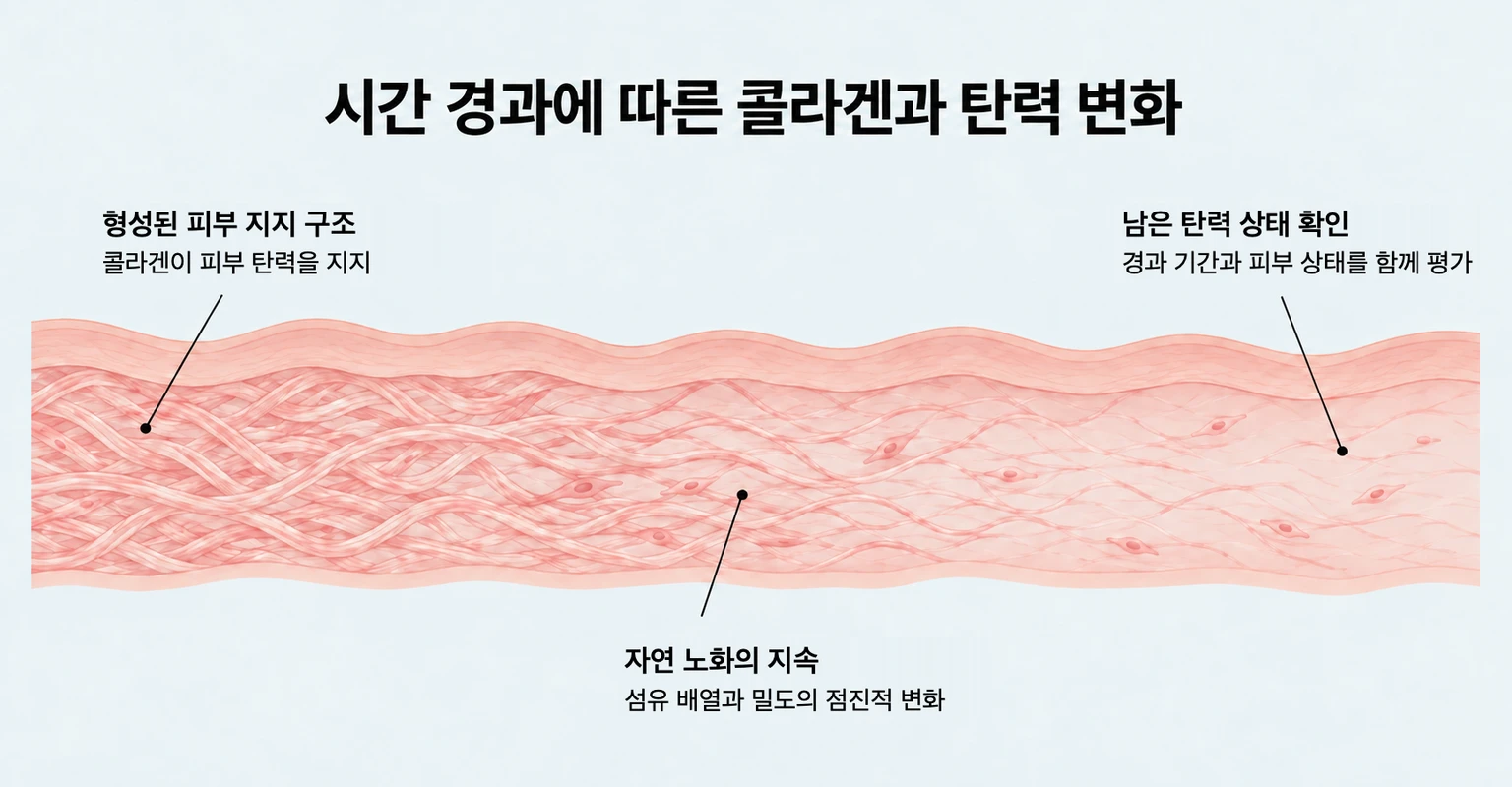 시간이 지나며 콜라겐 배열과 밀도가 달라지는 자연 노화 과정