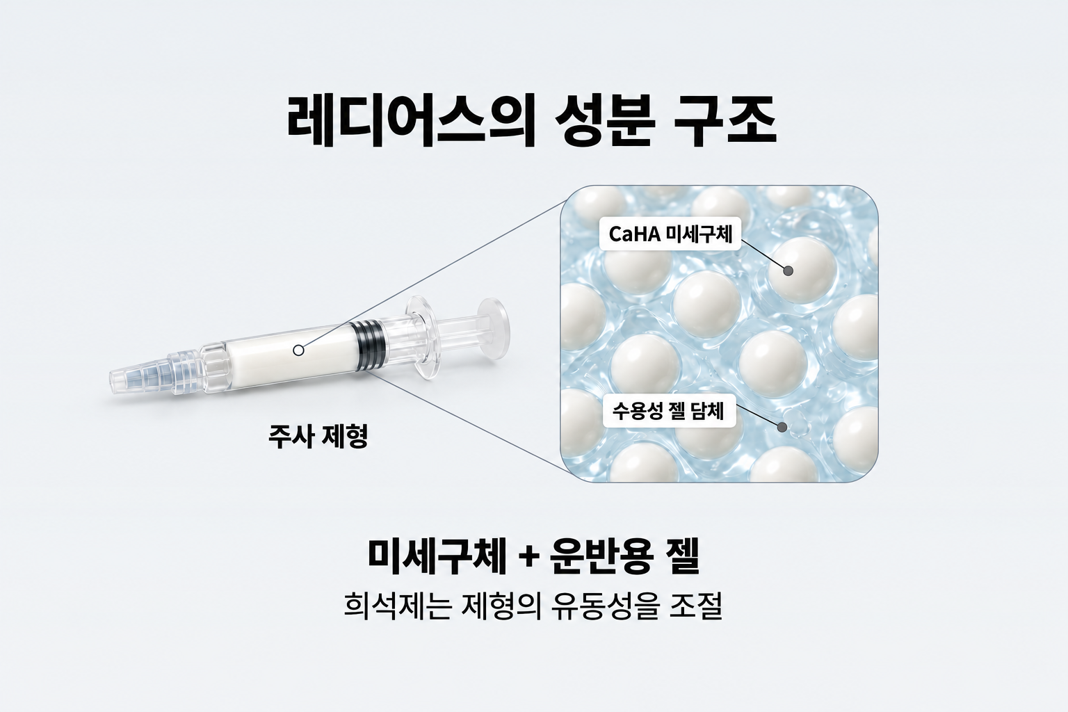 레디어스 제형 속 CaHA 미세구체와 수용성 젤 담체를 구분한 확대 개념도