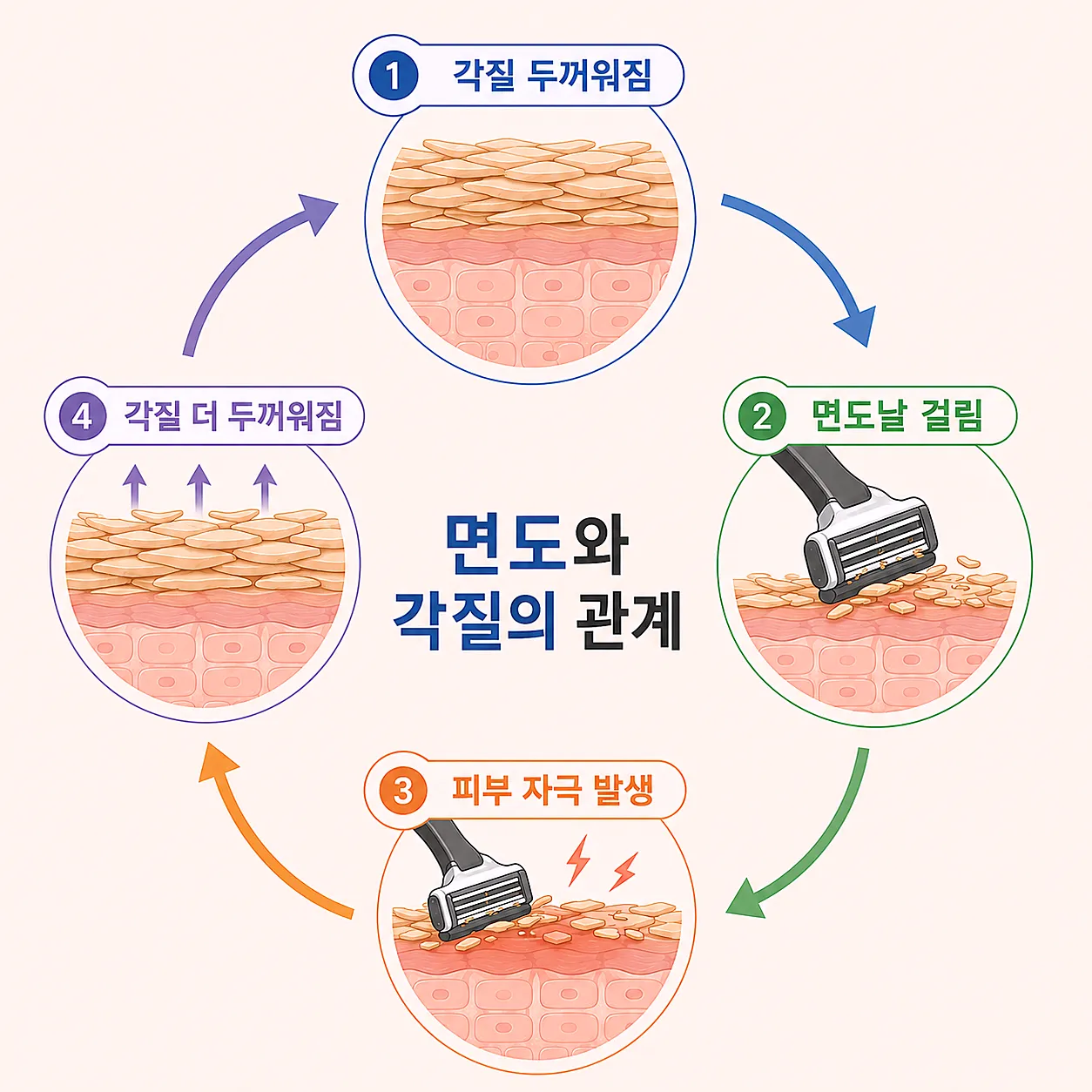 면도와 표면 각질의 관계 - 자극이 반복되는 구조