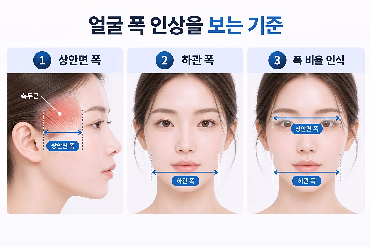 상안면 폭, 하관 폭, 두 폭의 비율 인식을 사물 카드로 정리한 윤곽 균형 개념도