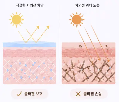 쥬베룩 유지기간에 영향을 주는 자외선 요인