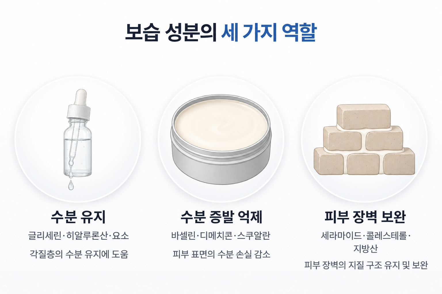 건조한 피부 보습제의 수분 유지 성분, 수분 증발을 막는 밀폐 성분, 세라마이드 등 피부 장벽 보완 성분의 역할