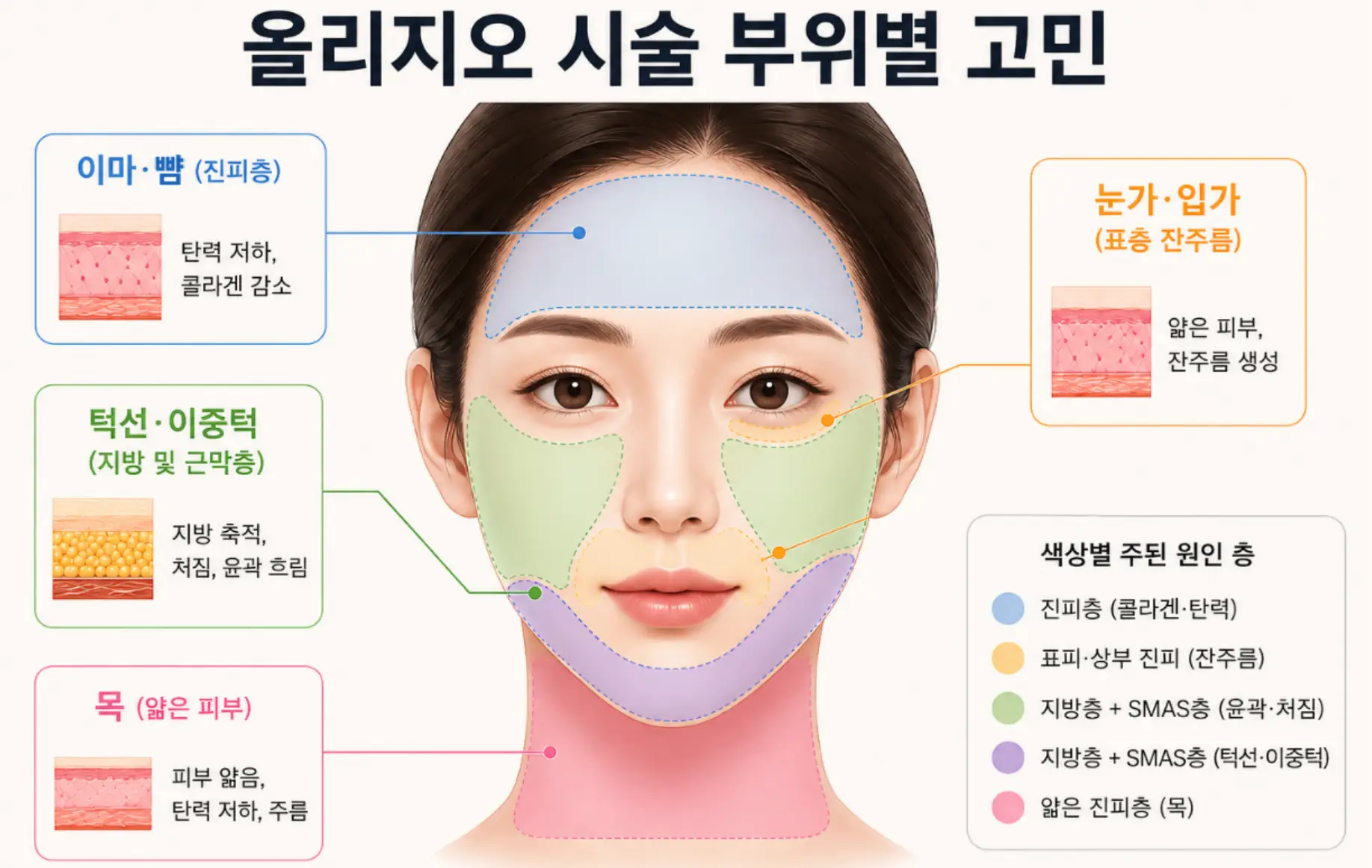 올리지오 시술 부위별 주요 고민과 시술 후 체감 효과 차이가 발생하는 이유 매핑 